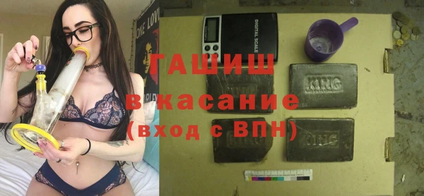 гидра Абаза
