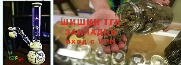 гидра Абаза