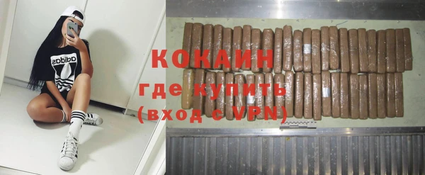 гидра Абаза