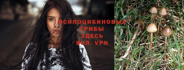 не бодяженный Нефтегорск
