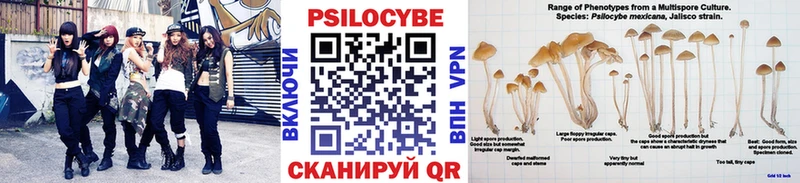 Псилоцибиновые грибы MAGIC MUSHROOMS  Саранск 