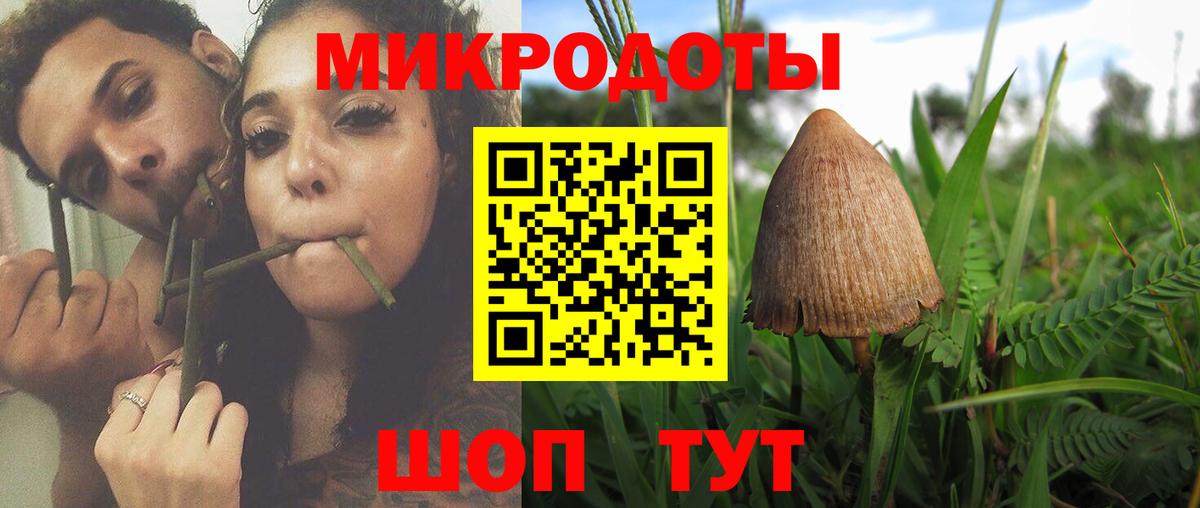 Псилоцибиновые грибы прущие грибы Саранск